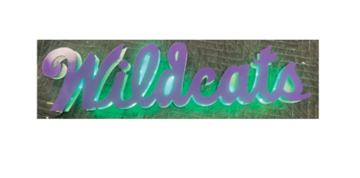 Wildcats Script LED Metal Sign